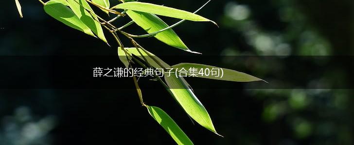 薛之谦的经典句子(合集40句),第1张