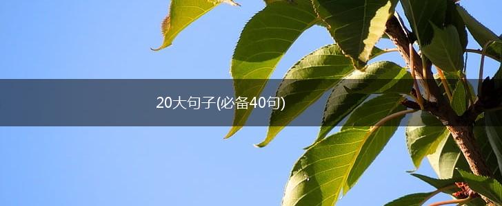 20大句子(必备40句),第1张