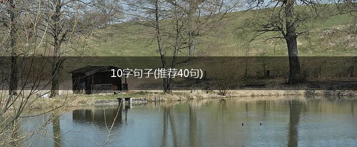 10字句子(推荐40句),第1张