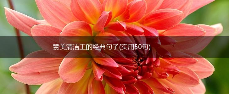 赞美清洁工的经典句子(实用50句),第1张