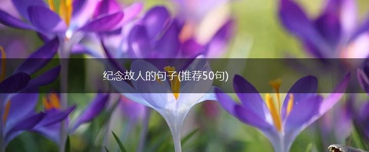 纪念故人的句子(推荐50句),第1张