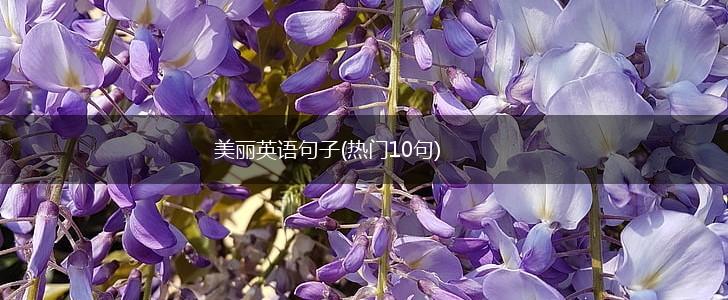 美丽英语句子(热门10句),第1张