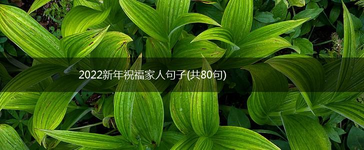 2022新年祝福家人句子(共80句),第1张