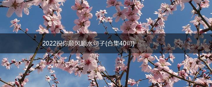 2022祝你顺风顺水句子(合集40句),第1张