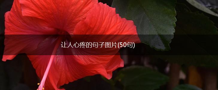 让人心疼的句子图片(50句),第1张