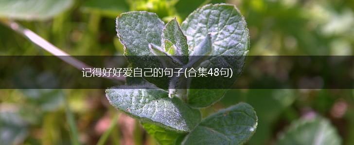 记得好好爱自己的句子(合集48句),第1张