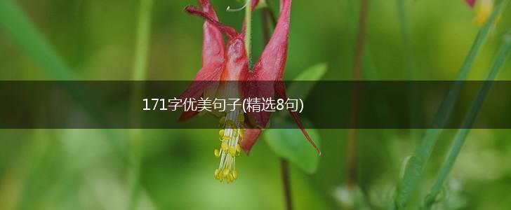 171字优美句子(精选8句),第1张