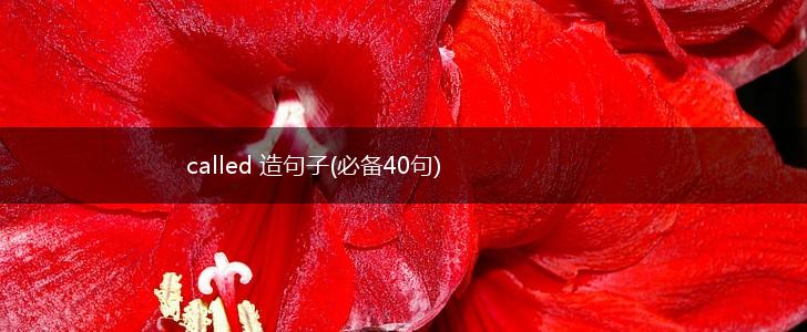 called 造句子(必备40句),第1张