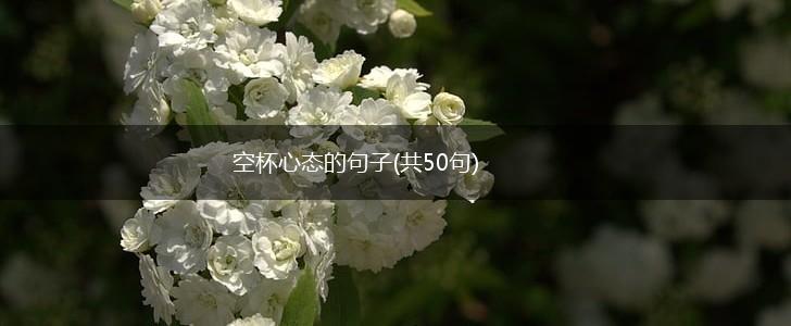 空杯心态的句子(共50句),第1张