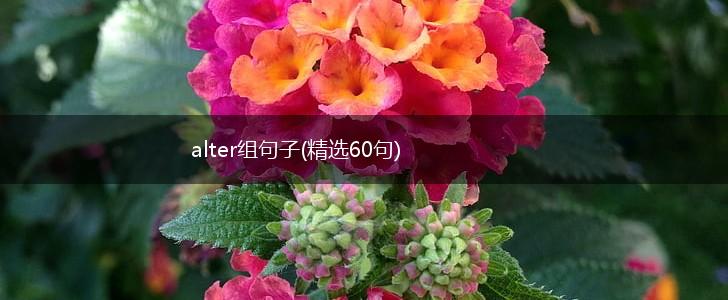 alter组句子(精选60句),第1张