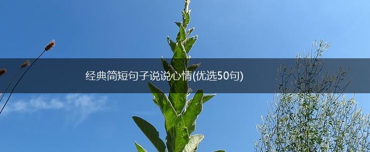 经典简短句子说说心情(优选50句),第1张
