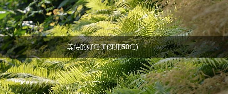 等待的好句子(实用50句),第1张