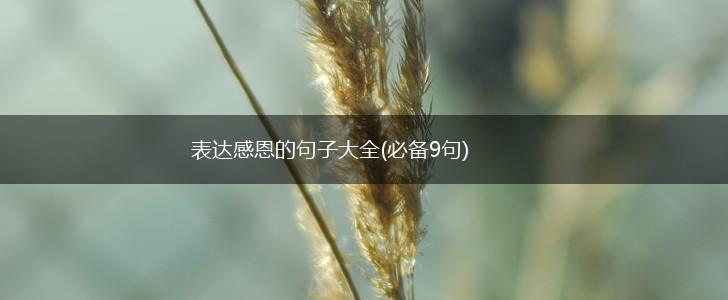 表达感恩的句子大全(必备9句),第1张