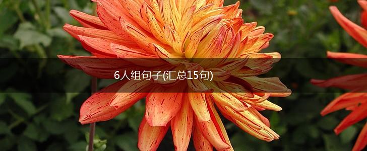 6人组句子(汇总15句),第1张