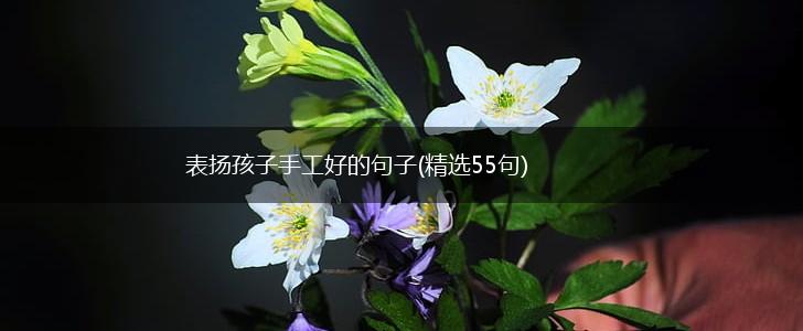 表扬孩子手工好的句子(精选55句),第1张