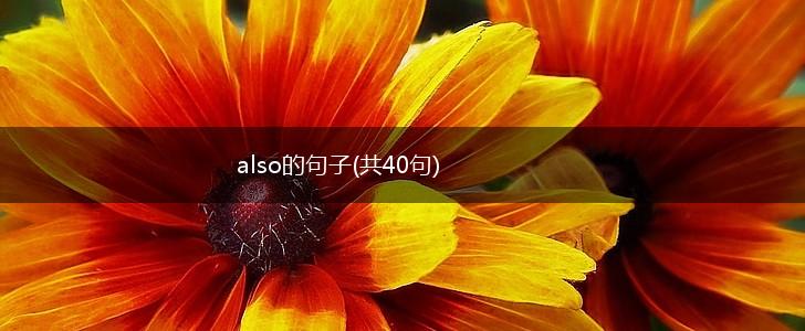 also的句子(共40句),第1张