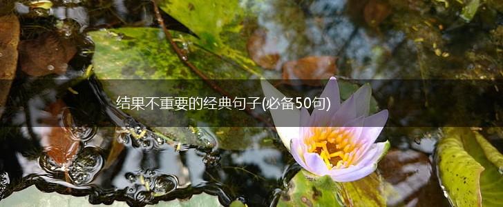 结果不重要的经典句子(必备50句),第1张