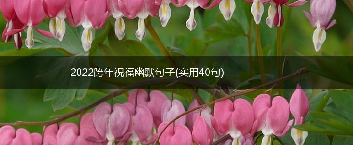 2022跨年祝福幽默句子(实用40句),第1张
