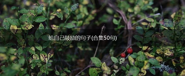 给自己鼓励的句子(合集50句),第1张