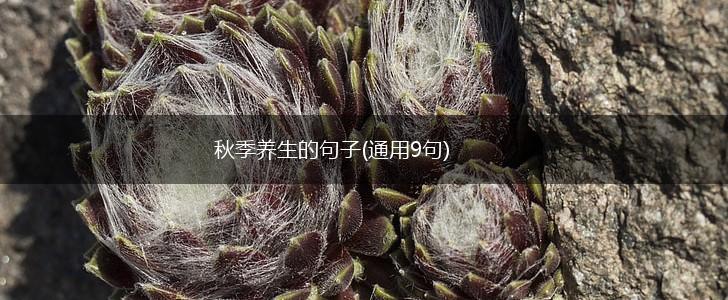 秋季养生的句子(通用9句),第1张