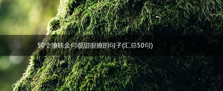 50个撩妹金句很甜很撩的句子(汇总50句),第1张
