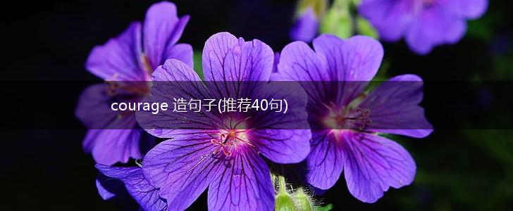 courage 造句子(推荐40句),第1张