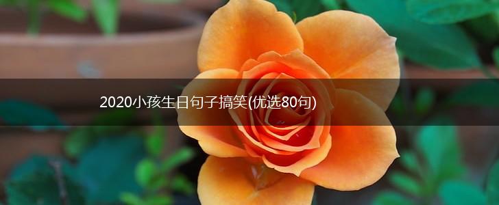 2020小孩生日句子搞笑(优选80句),第1张