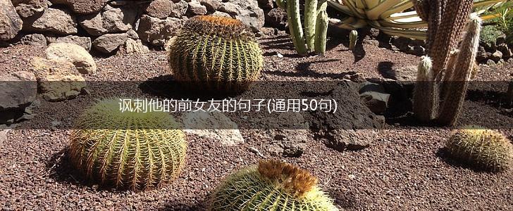 讽刺他的前女友的句子(通用50句),第1张