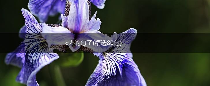 c人的句子(精选80句),第1张