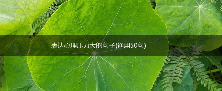 表达心理压力大的句子(通用50句),第1张