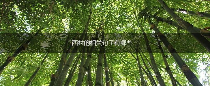 西村的相关句子有哪些,第1张