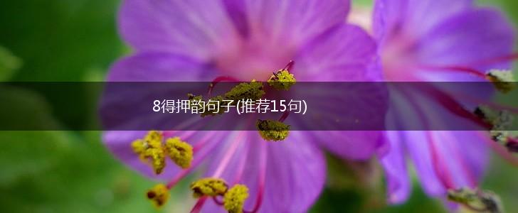 8得押韵句子(推荐15句),第1张