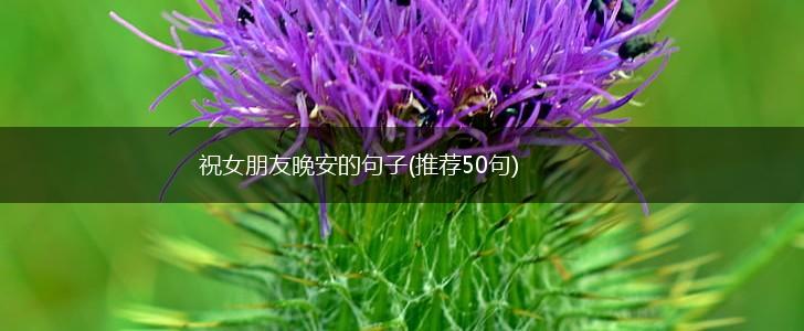 祝女朋友晚安的句子(推荐50句),第1张