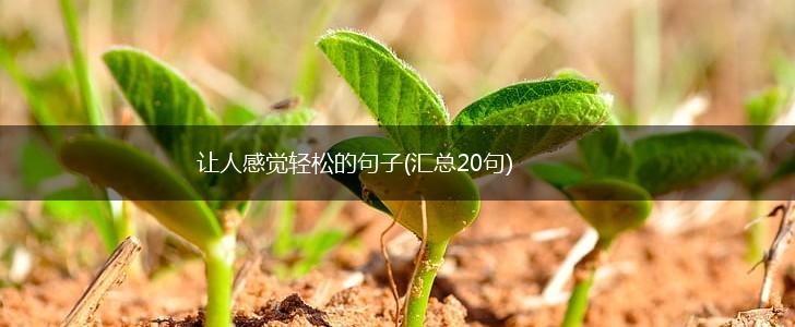 让人感觉轻松的句子(汇总20句),第1张