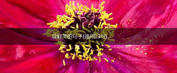 诠释美的句子(通用13句),第1张