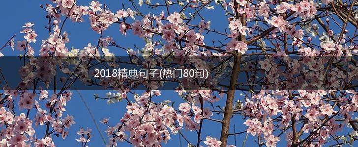 2018精典句子(热门80句),第1张
