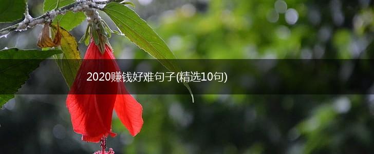2020赚钱好难句子(精选10句),第1张