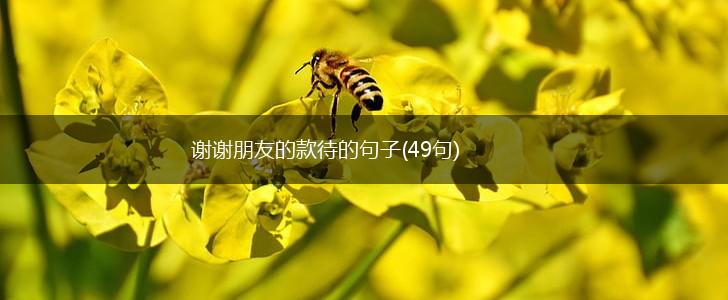 谢谢朋友的款待的句子(49句),第1张