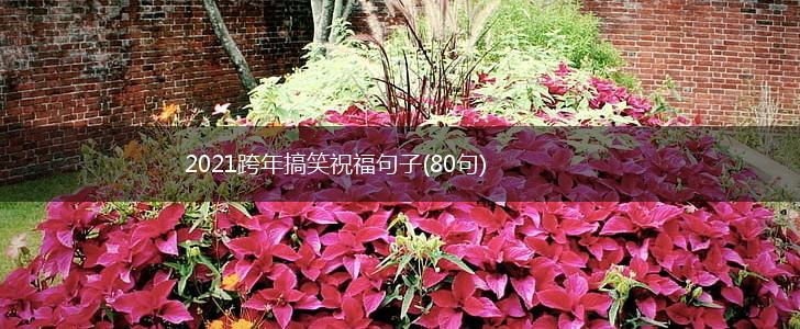 2021跨年搞笑祝福句子(80句),第1张