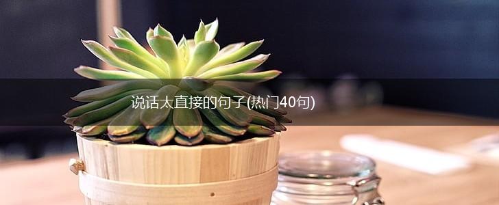 说话太直接的句子(热门40句),第1张