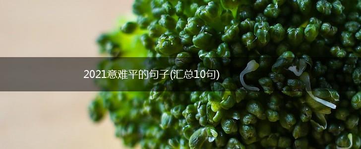 2021意难平的句子(汇总10句),第1张