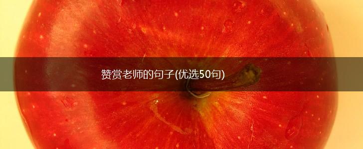 赞赏老师的句子(优选50句),第1张