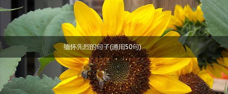缅怀先烈的句子(通用50句),第1张