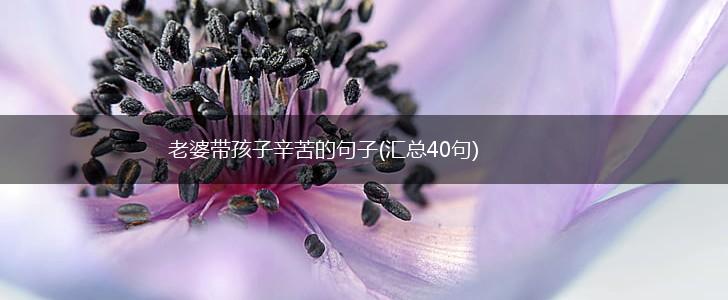 老婆带孩子辛苦的句子(汇总40句),第1张