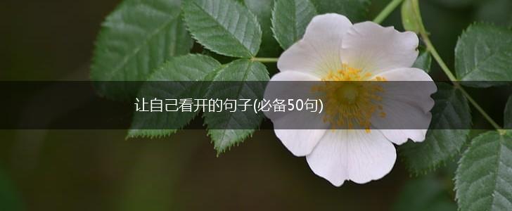 让自己看开的句子(必备50句),第1张