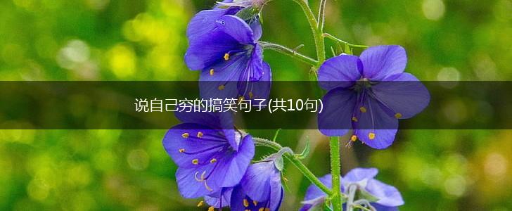 说自己穷的搞笑句子(共10句),第1张