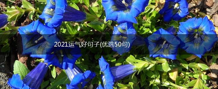 2021运气好句子(优选50句),第1张