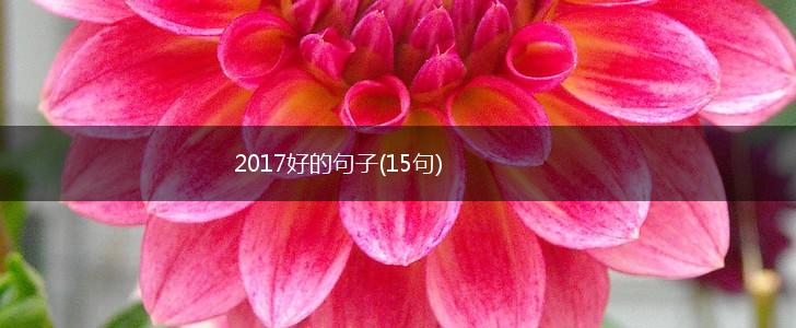 2017好的句子(15句),第1张