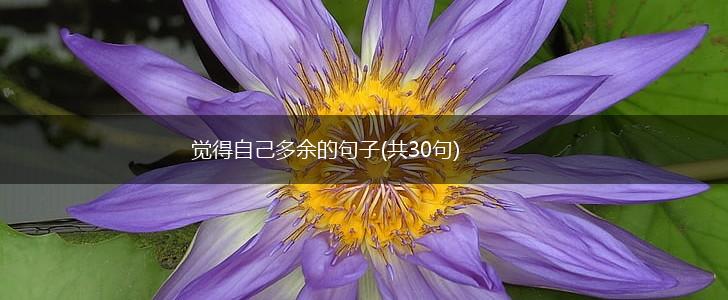 觉得自己多余的句子(共30句),第1张