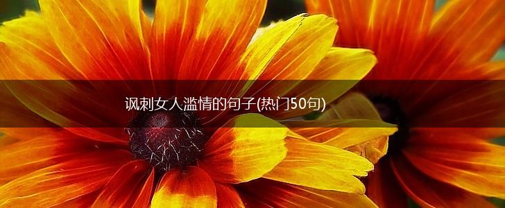 讽刺女人滥情的句子(热门50句),第1张